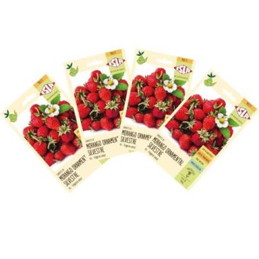 Imagem de 4X Sementes de Morango Ornamental Silvestre ISLA