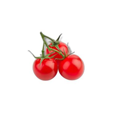 Imagem de Sementes de Hortaliças, Variedades Diversas, Monte seu Kit Personalizado (Tomate Cereja Vermelho 10 Sementes)