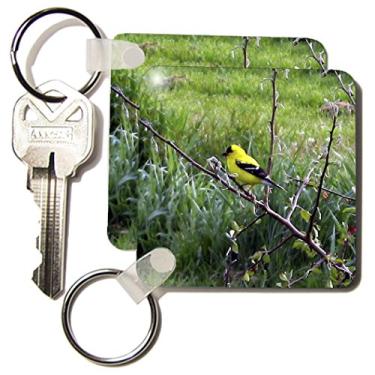 Imagem de 3dRose Tentilhão amarelo - chaveiros, 5,7 x 11,4 cm, conjunto de 2 (kc_13754_1)