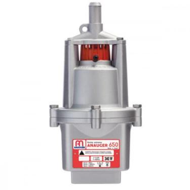 Imagem de Bomba Agua Anauger 650 220V 5 Geracao 60560, 220V, 3 Meses