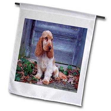 Imagem de 3dRose Fl_13750_2 Bandeira de jardim Cocker Spaniel Inglês, 45,72 x 68,56 cm