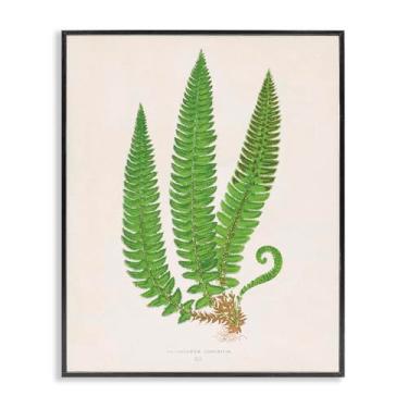 Imagem de Stupell Industries Arte giclée emoldurada preta trio ramo de samambaia natural, design por Phillipa Katz, 28 x 35 cm