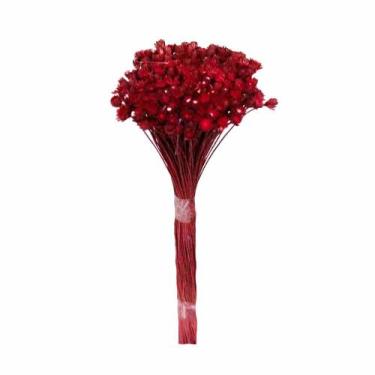 Imagem de Plantas Seca Botão Margarida Desidratado Vermelho - Pense Flores