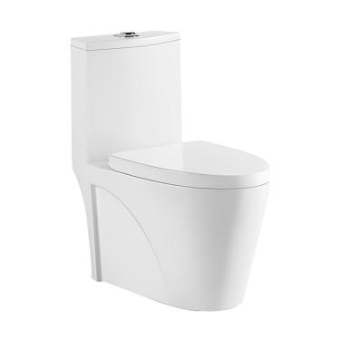 Imagem de Vaso Sanitário Monobloco Completo - Caixa Acoplada Privada Ne