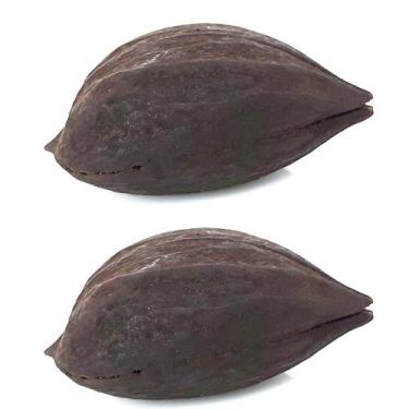 Imagem de Garra de Exu Assentamento Proteção Umbanda Quimbanda 2 Und - Sabat