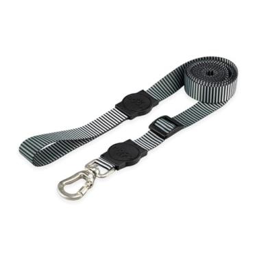 Imagem de Mood Pet Coleira Guia Retrátil Para Cães Cachorro Adestramento Passeio Porte Grande Médio Pequeno (Bronx, G)