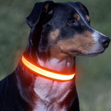 Imagem de Coleira LED para cães VIZPET ajustável USB recarregável laranja