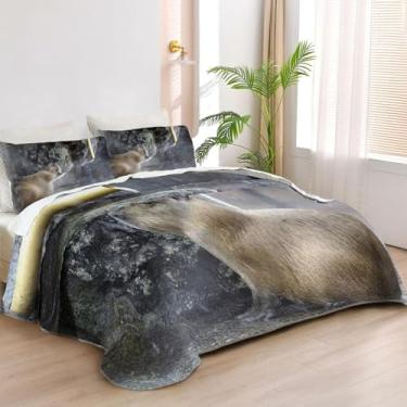 Imagem de Allenjoy Colchas de capivara tamanho king size conjunto de cama capivara tecido lavável com 2 fronhas SC00292-007