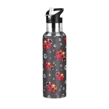 Imagem de Blueangle Garrafa de água de aço inoxidável Red Ladybugs de 590 ml - Garrafa esportiva de metal isolada à prova de vazamento para academia, acampamento, fitness ao ar livre e viagens (647)