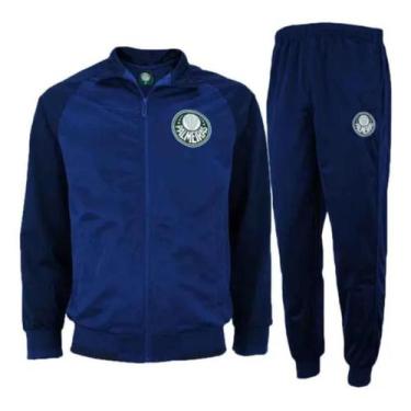 Imagem de Agasalho Conjunto Inverno Masculino Palmeiras Helanca Spr, Azul, 3G