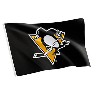 Imagem de Desert Cactus Bandeira do time Pittsburgh Penguins NHL Liga Nacional de Hóquei 100% poliéster para ambientes internos e externos 1,5 m (Design nº 2)