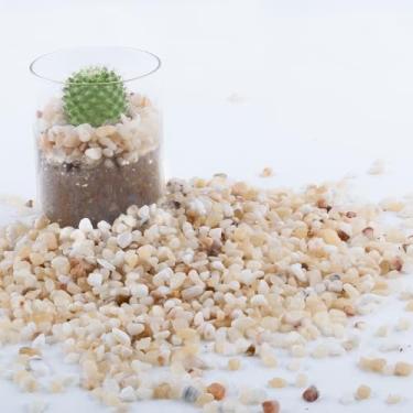 Imagem de CJGQ Cascalho de aquário de 1,1 kg para plantas, pedras de rio decorativas ao ar livre de 1/5 polegada para paisagismo de suculentas e cactos, rochas pequenas naturais para plantas de jardim, cascalho