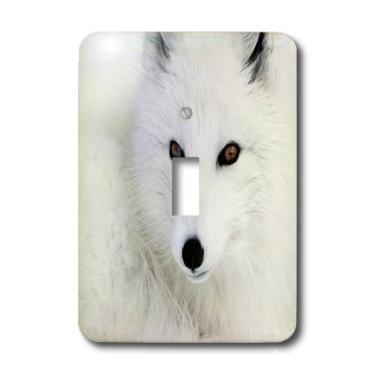 Imagem de 3dRose lsp_171634_1 Imagem de uma linda capa de interruptor de luz de close-up branca de raposa de neve