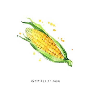 Imagem de Sweet Ear of Corn Notebook: Notebook, Journal, Planner, Logbook, Daily Notes, 8.5x11 Wide Ruled Lined 110 Pages, Perfect for Women, Girls, Teens, Ladies, Bosses, Mentors and Friends