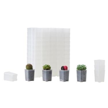 Imagem de BangQiao Pacote com 120 vasos pequenos de plástico transparente para berçário e mudas de 6 cm, plantador de sementes de transplante profundo com orifício de drenagem para germinação, ervas, suculentas