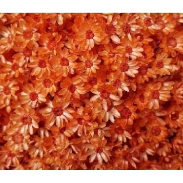 Imagem de Flor Sempre Viva Branca I Kit com ate 1.200 Flores Secas, Buquês, Decoração de Casamento e Eventos - Beleza Natural Eterna(Laranja,1buquê)