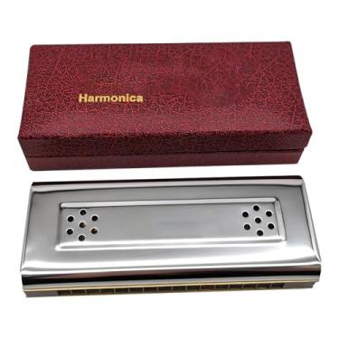 Imagem de Gaita profissional 10 16 24 furos dupla face gaita tremolo diatônica azul C e G para jogadores adultos (16 furos)