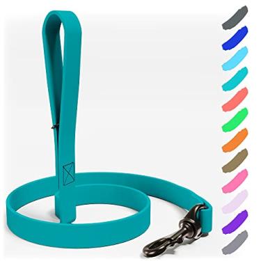 Imagem de NexaPaw Coleira para cães Biothane – extra resistente, impermeável para cães grandes, médios e pequenos – grafite de 1,8 m com mosquetão de latão (azul-petróleo)