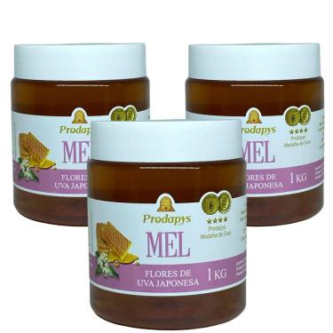Imagem de Mel Flores de Uva Japonesa 1kg Kit com 3
