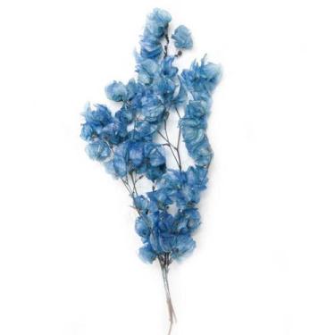 Imagem de Bougainvile Desidratado Buque Flores Secas - Pense Flores, Azul