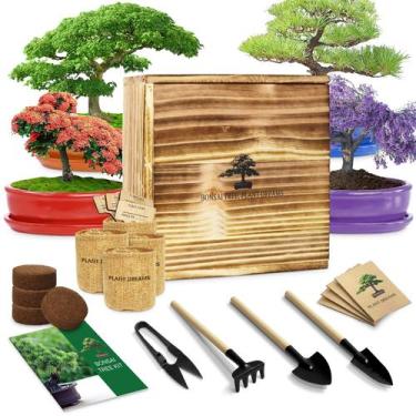 Imagem de Kit de Árbol Bonsái LUOJIBIE para Cultivo Interior DIY