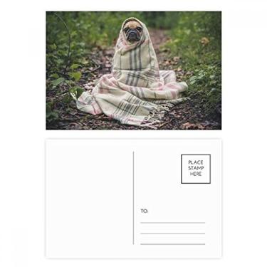 Imagem de Conjunto de cartão postal para fotografia de animais de estimação Bulldog, cartão de felicitações