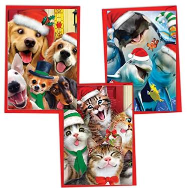 Imagem de NobleWorks Pacote sortido de 3 cartões de Natal com envelopes, sortimento de férias de humor para homens e mulheres (3 designs, 1 cada) Feliz Natal ao zoológico VC6652XSG-C1x3