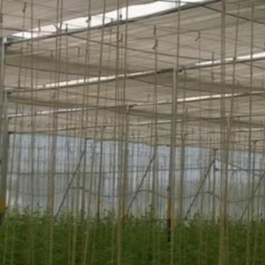 Imagem de Tela de Sombreamento Polietileno Preta Proteção Estufa Horta 35% 3x5m 15m²