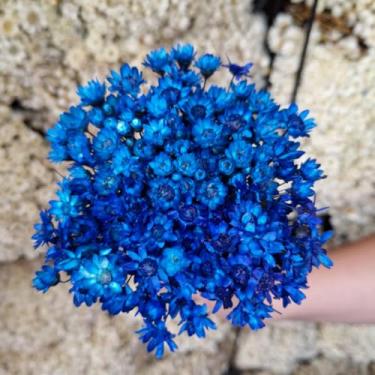 Imagem de Flores Sempre Viva Secas Bege – Buquê Natural para Decoração e Arranjos (Azul Escuro,5 buquês (1.000 florzinhas))