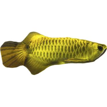 Imagem de Brinquedo Petwi Pelúcia Peixe Dourado para Gatos - Tam. Único