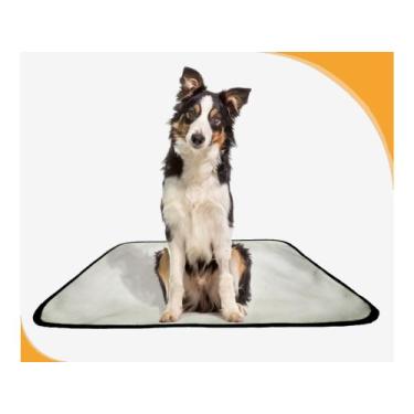 Imagem de Banheiro canino móvel reutilizável pet 3un M 60x80 cm - SHELBY MODA PE