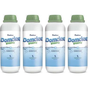 Imagem de 4 algicida de manutencao domclor 1l