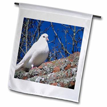 Imagem de 3dRose fl_48380_1 Bandeira de jardim, 30 x 45 cm, uma pomba branca sentada em um telhado nos jardins de Hamilton, na Nova Zelândia