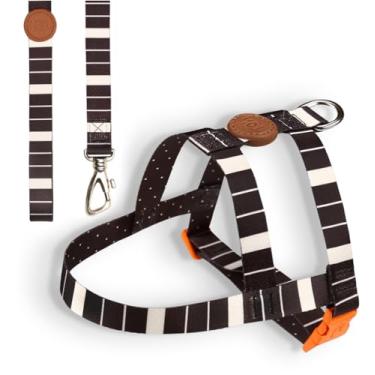 Imagem de Toh Conjunto Peitoral Tradicional E Guia Eclipse M