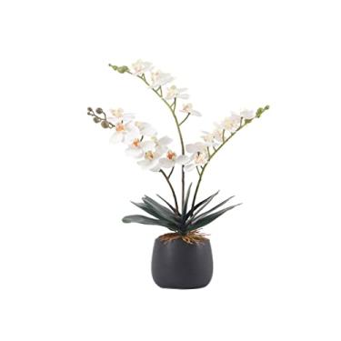 Imagem de LMJYU Flores artificiais para decoração Flor Phalaenopsis artificial em vaso de cerâmica arranjo floral falso desktop borboleta orquídea falsa bonsai casamento