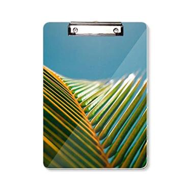 Imagem de Folha Planta Natureza Céu Azul Fotografia Prancheta Pasta Bloco de Escrita Placa de Apoio A4