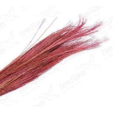 Imagem de Capim Fio De Ouro Desidratado - Rosa - Pense Flores