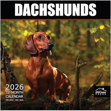 Imagem de MICASA Dachshunds 2026 Calendário de parede 12 meses | 30,5 cm x 61 cm aberto | Papel grosso e resistente | Presente | Calendário 2026