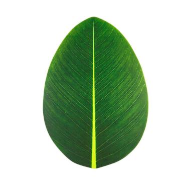 Imagem de Lugar Americano de EVA C/Formato Folha Verde 47x32cm Lyor