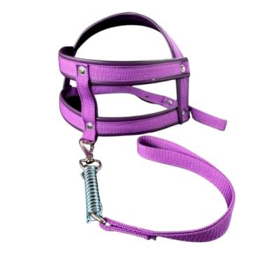 Imagem de Coleira Peitoral para Cachorro Personalizada com Nome e Telefone – Guia Anti Puxão Reforçada Roxa(P (10kg até 22kg),Roxo)