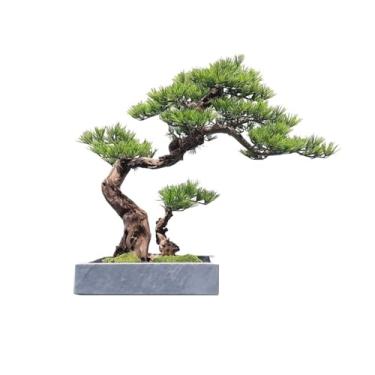 Imagem de Bonsai de pinheiro de simulação moderna de plantas falsas, decoração criativa de canto de entrada, ornamentos de vegetação de árvore falsa, ornamentos de sala de estar, decoração
