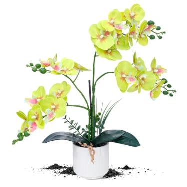 Imagem de ucky Flores de orquídea artificiais brancas atualizadas com vaso de cerâmica, orquídeas falsas, flores de toque real para decoração de casa, decoração de banheiro, mesa de centro de mesa (verde maçã)