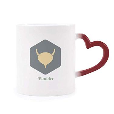 Imagem de Caneca sensível ao calor da bexiga órgãos internos corporais, copo de grés que muda de cor vermelha