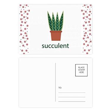 Imagem de Cactus Vaso Suculentas Plantas Verdes Natal Natal Celebração Cartão Postal Cartão Bênção