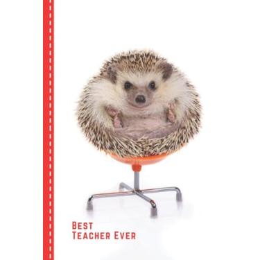 Imagem de Best Teacher Ever: Funny Hedgehog Sitting in Office Chair Cover/Hedgehog Teacher Gift/Small 6x9 Lined Journal Notebook To Write In/Perfect for Teacher Appreciation Day/Cute Card Alternative