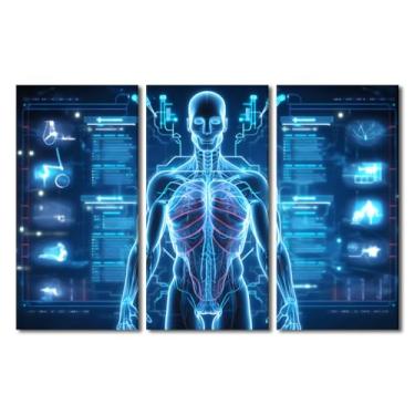 Imagem de Decoração de parede de anatomia do corpo humano em 3 painéis para quarto, arte de parede em tela médica para sala de estar, pôsteres para pinturas de tecnologia médica de casa, arte de arte, decoração