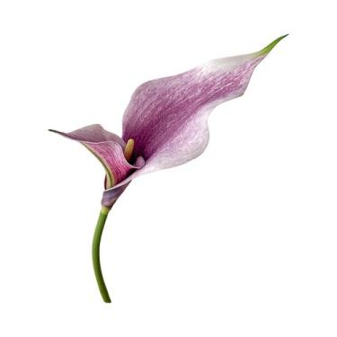 Imagem de Arranjo De Flores Artificiais De Hortelã Em Forma De Ferradura De Alta
