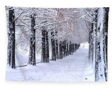 Imagem de Tapeçaria, paisagem, paisagem de neve, parede, 150x130cm, microtecido,