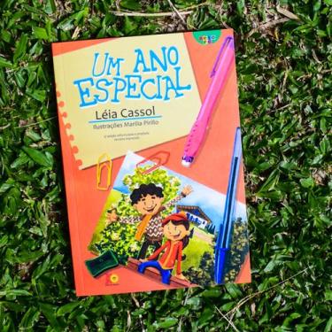 Imagem de Livro - Um ano especial