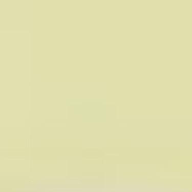 Imagem de Tinta PVA Fosca 100ml Verde Alecrim Acrilex